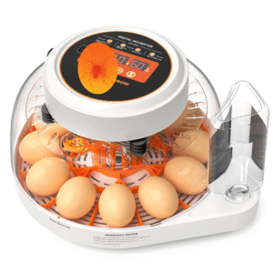 Pendant Lights Kitchen Island 3-Light