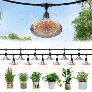 Outdoor LED Grow Lights