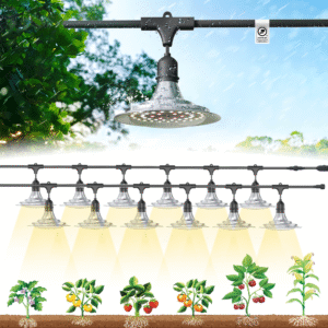 Bathroom Vanity Light Fixture