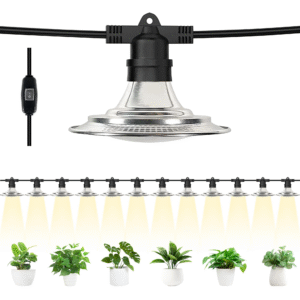 Outdoor LED Grow Lights