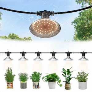 Outdoor LED Grow Lights