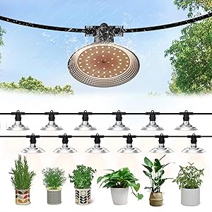 Outdoor LED Grow Light